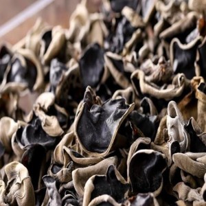 鑫旺山 有机秋木耳工厂 干净无根 零添加 厂家直发