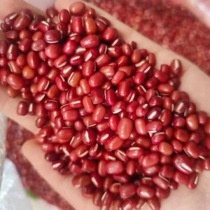 红小豆粗粮珍珠红豆 源头工厂 颗颗饱满 天祺智慧 农家红豆 红小豆粗粮珍珠红豆 源头工厂 颗颗饱满 天祺智慧 农家红豆