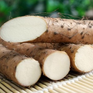 铁棍山药 怀山药 新鲜铁棍山药 5斤装 煲粥煮汤蒸着吃 健康养胃