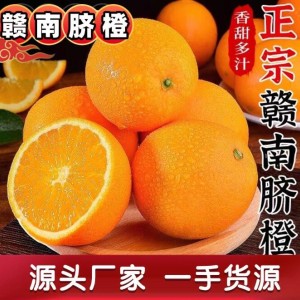 江西正宗赣南脐橙新鲜当季水果产地直发应季橙子现摘甜橙批发脐橙