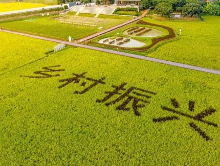 春早抓培训　稳粮保供给——全国农广校体系开展冬春农民大培训